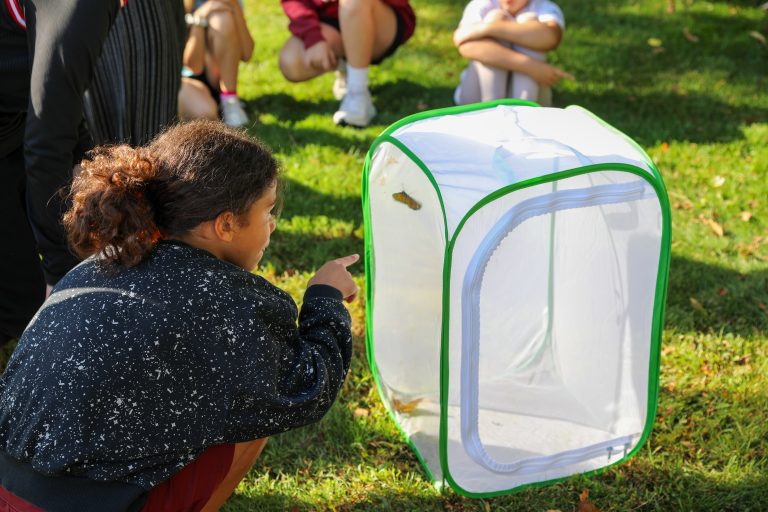 Girl looking at a large cage in a park.