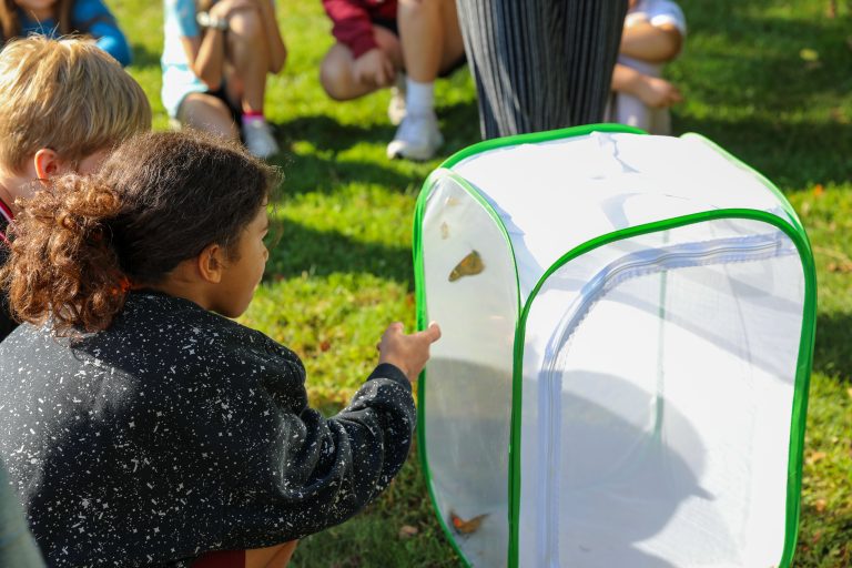 Two children looking at a small green cage with a fish inside, in an outdoor setting.
