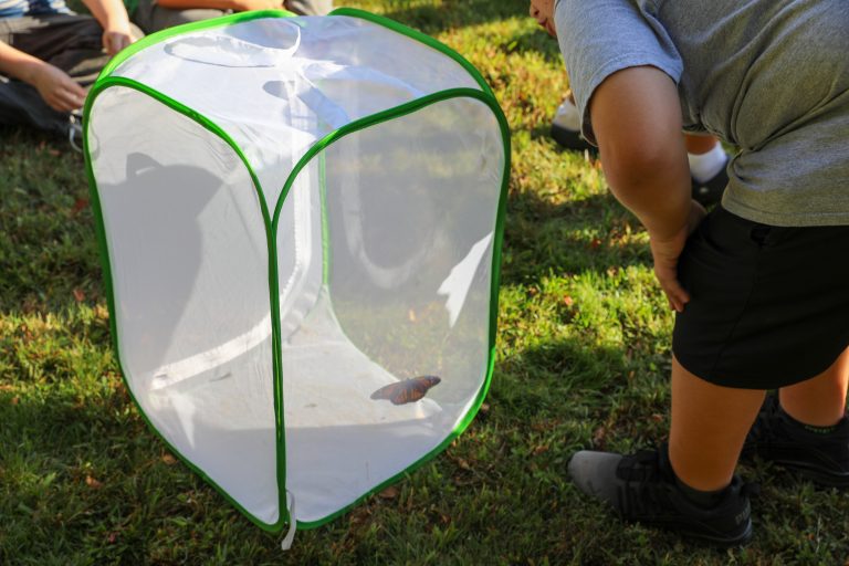 A person is bending over a tent in a grassy area.