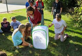 Students release butterflies.