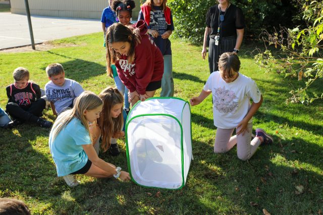 Students release butterflies.