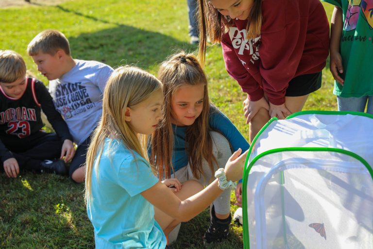 Children examining an insect habitat in a park.