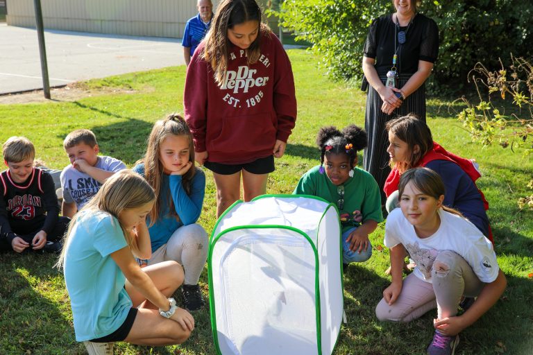 Children gathered around a beehive, observing its contents, in an outdoor setting.