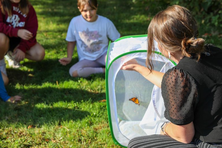 Woman feeding butterflies from a net.