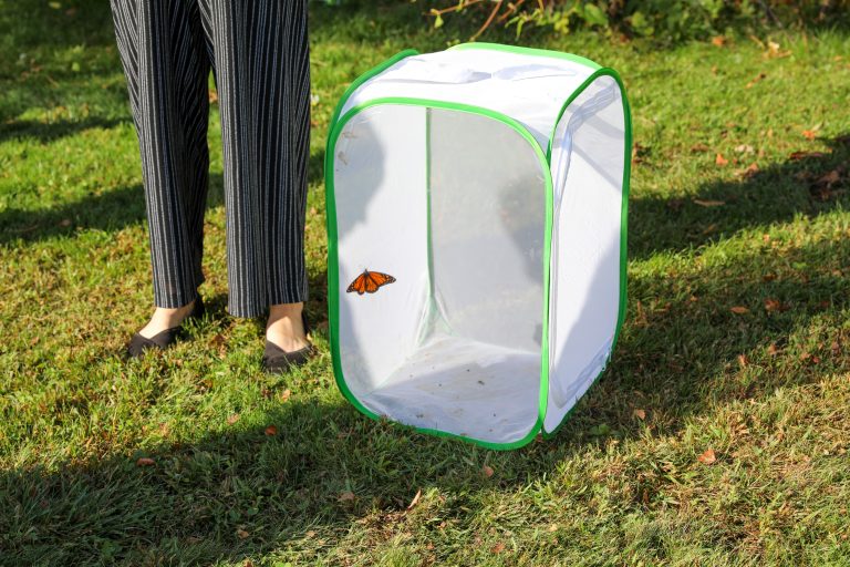 A person stands next to a large green and white butterfly-shaped tent in an outdoor setting.