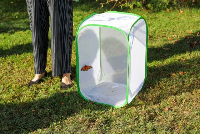 Woman standing next to a large plastic container with a butterfly on it in an outdoor setting.