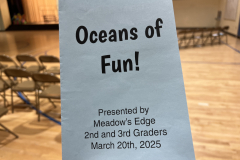 Meadows-Edge-2nd-and-3rd-Grade-Musical-Brochure-3-20-25
